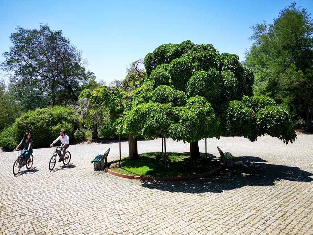 Herdade Clube Tiro Monfortinho Exterior photo